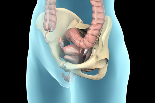 Pelvic Prolapse